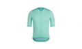 Rapha Pro Team Training  Jersey M Dark Green/Teal
