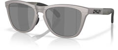 Oakley Frogskins Range Titanium w/Prizm Black Polarized