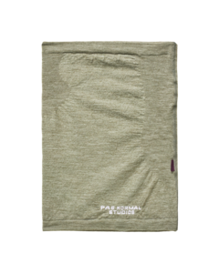 Pas Normal Studios Logo Merino Necktube Earth