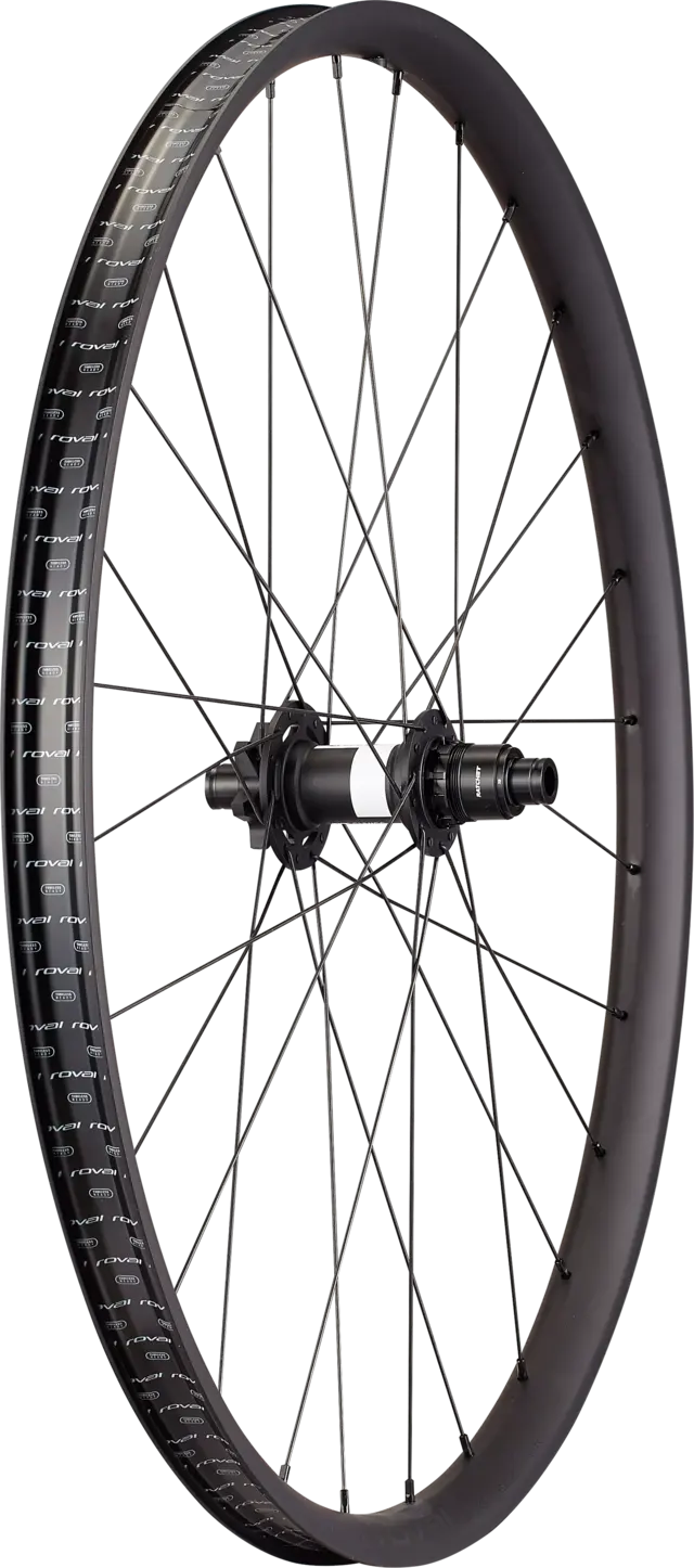 Roval Travese Alloy DT350 - Rear 6-Bolt 