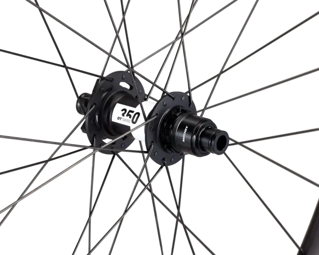 Roval Travese Alloy DT350 - Rear 6-Bolt 